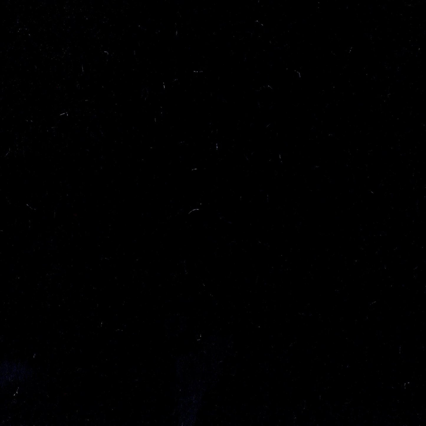 Detroit - Nero