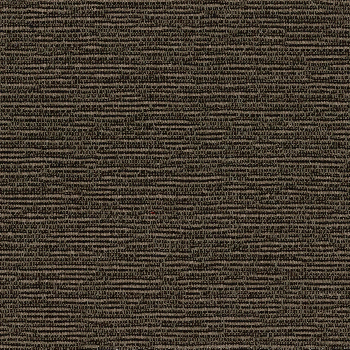 Gaby - Militare Reversibile