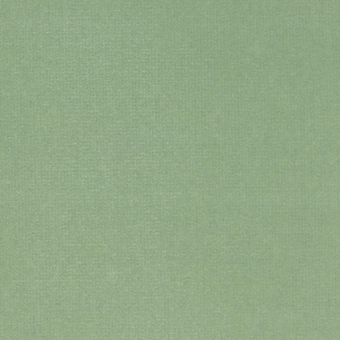 Maranello - Tè Verde