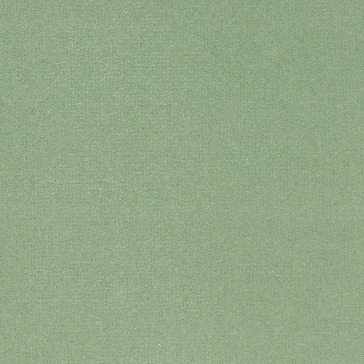 Maranello - Tè Verde