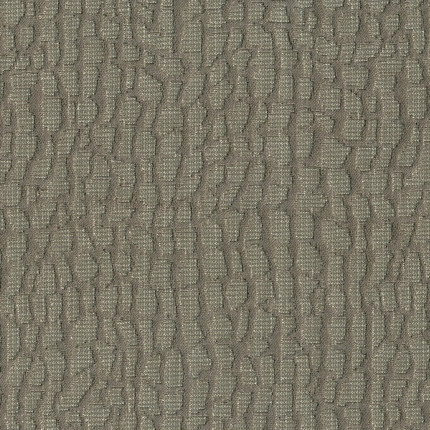 Delta - Tortora