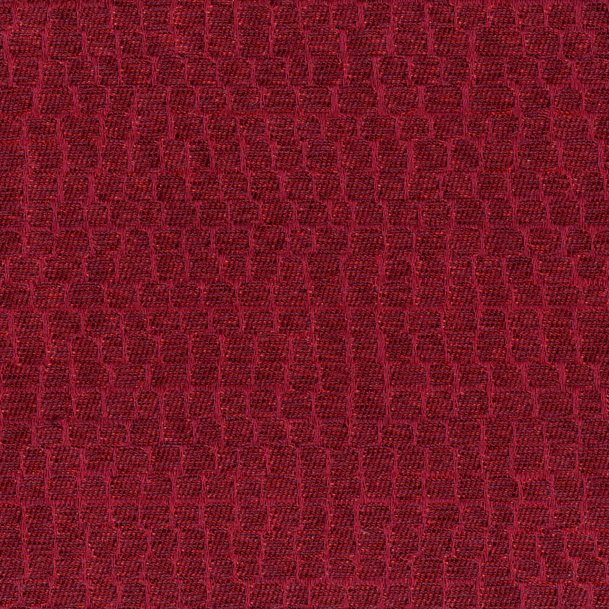 Eritrea - Fuxia