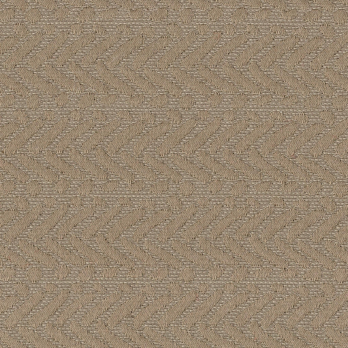 Gaya - Tortora