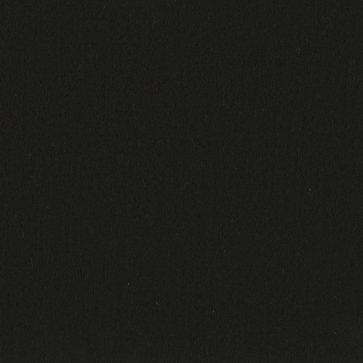 Detroit - Testa Di Moro